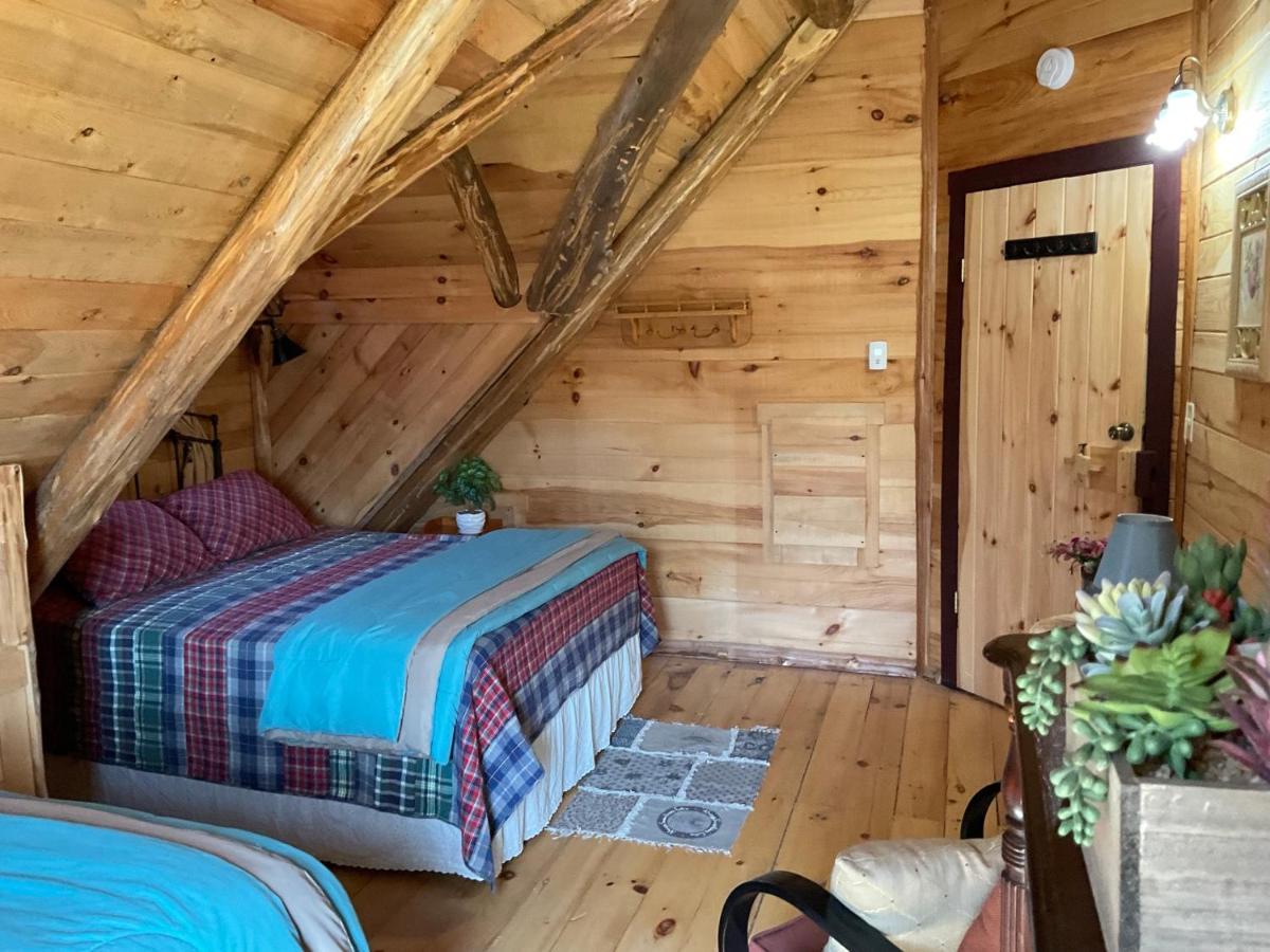 Lodge Solange Palatino Bridge Экстерьер фото